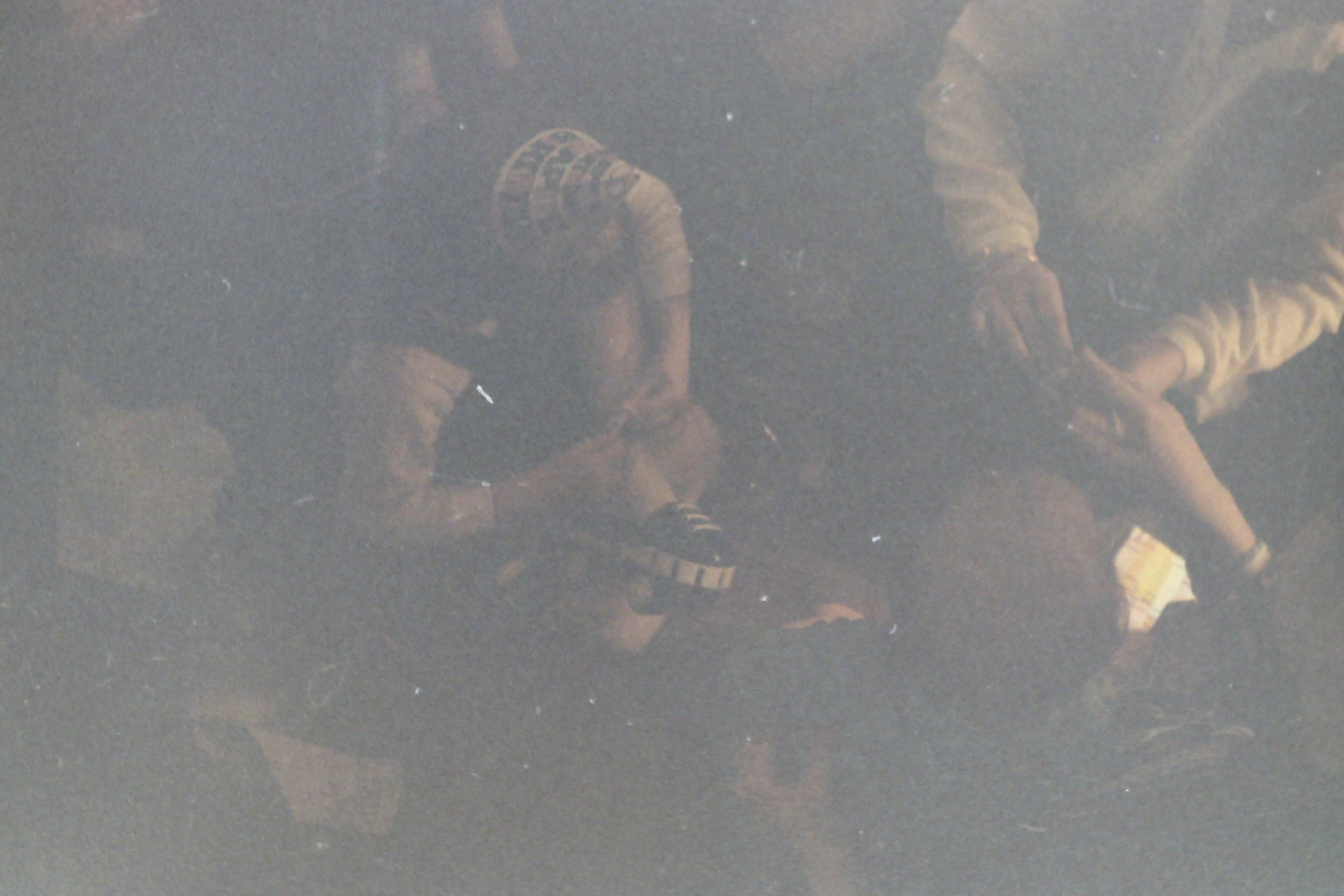 1982-02_P03 phDtApr1982