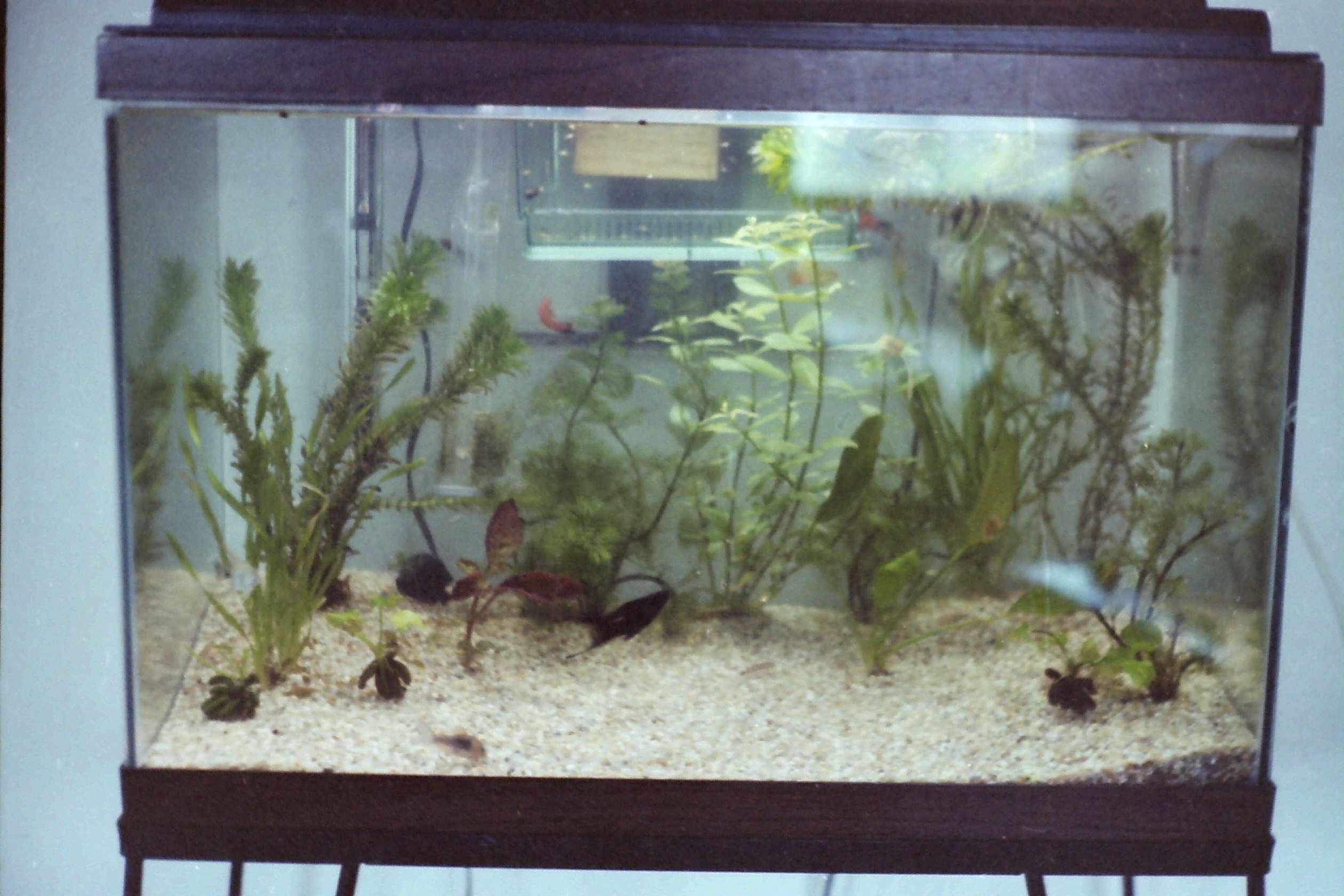 1982-04_P41 wrDt9Apr1982