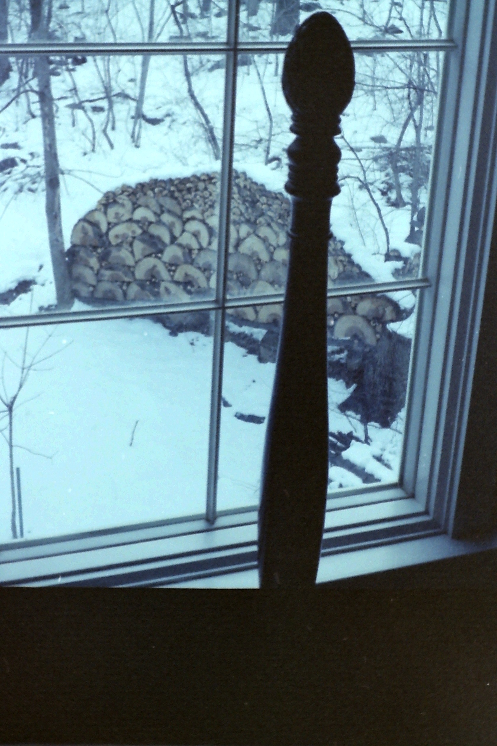 1982-04_P44 wrDt9Apr1982