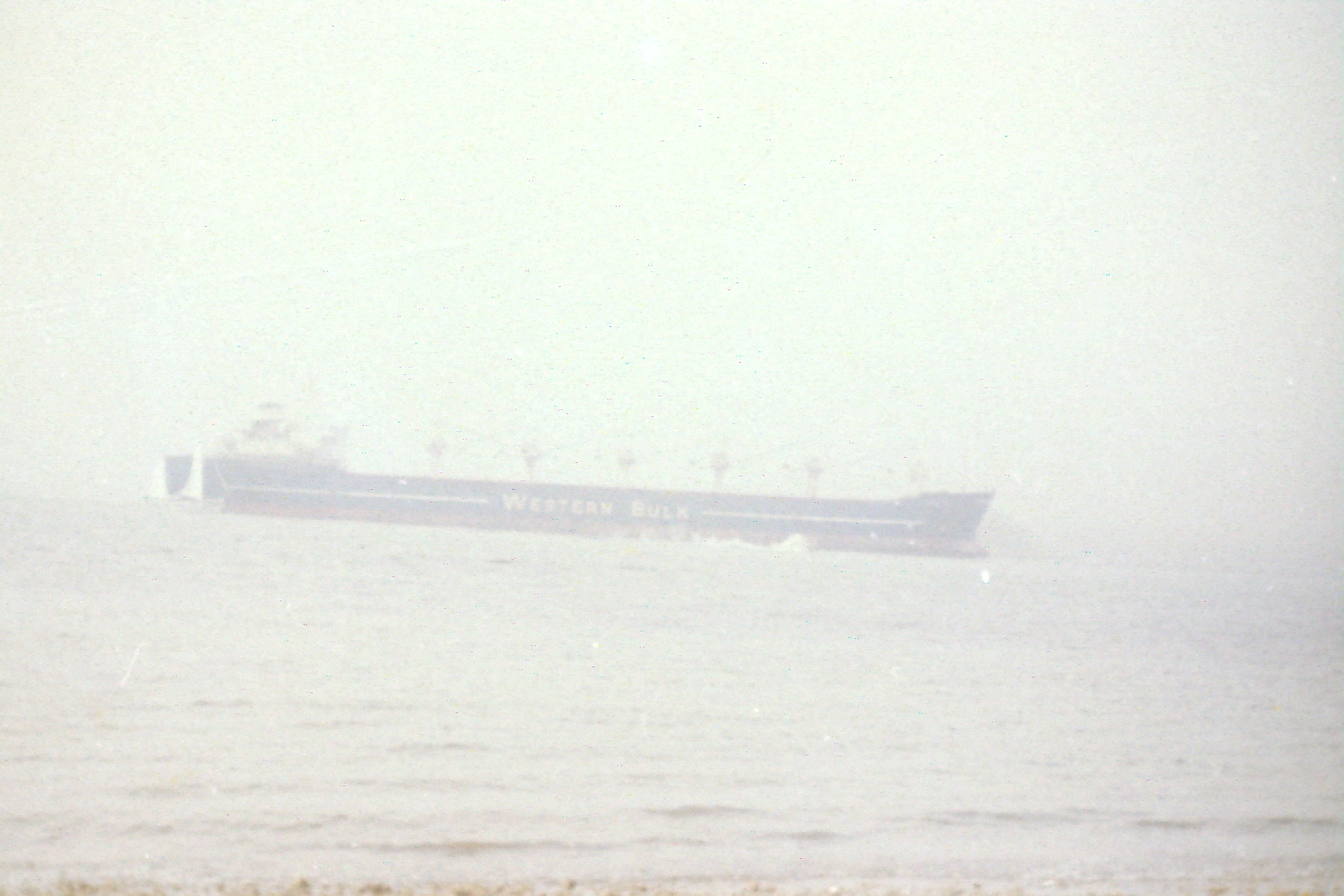 PICT0025_freighterWesternBulk