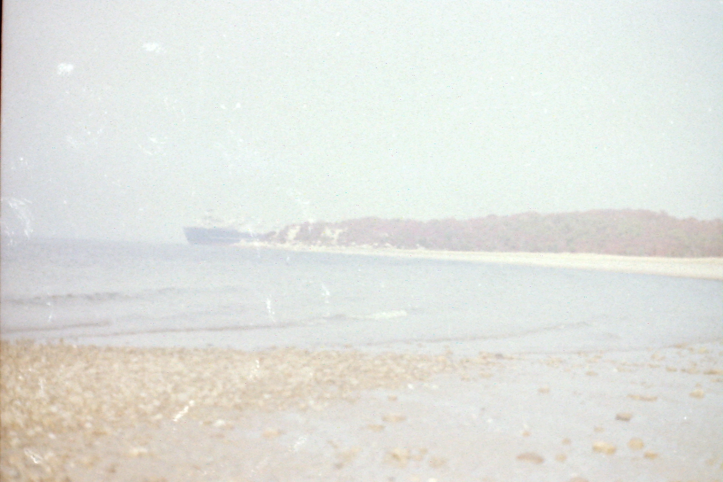 PICT0028_freighterWesternBulkAndHogIsland