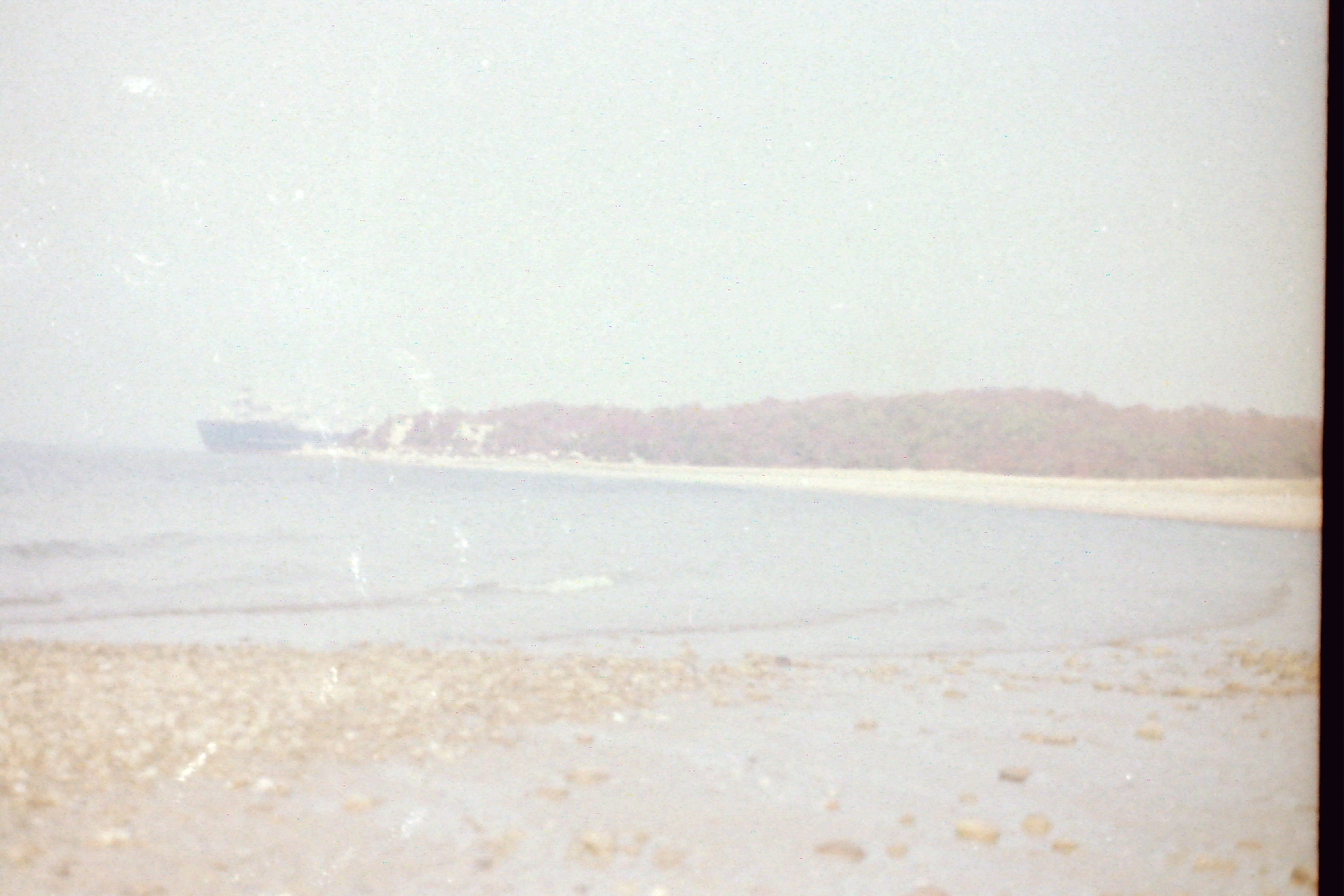 PICT0029_freighterWesternBulkAndHogIsland