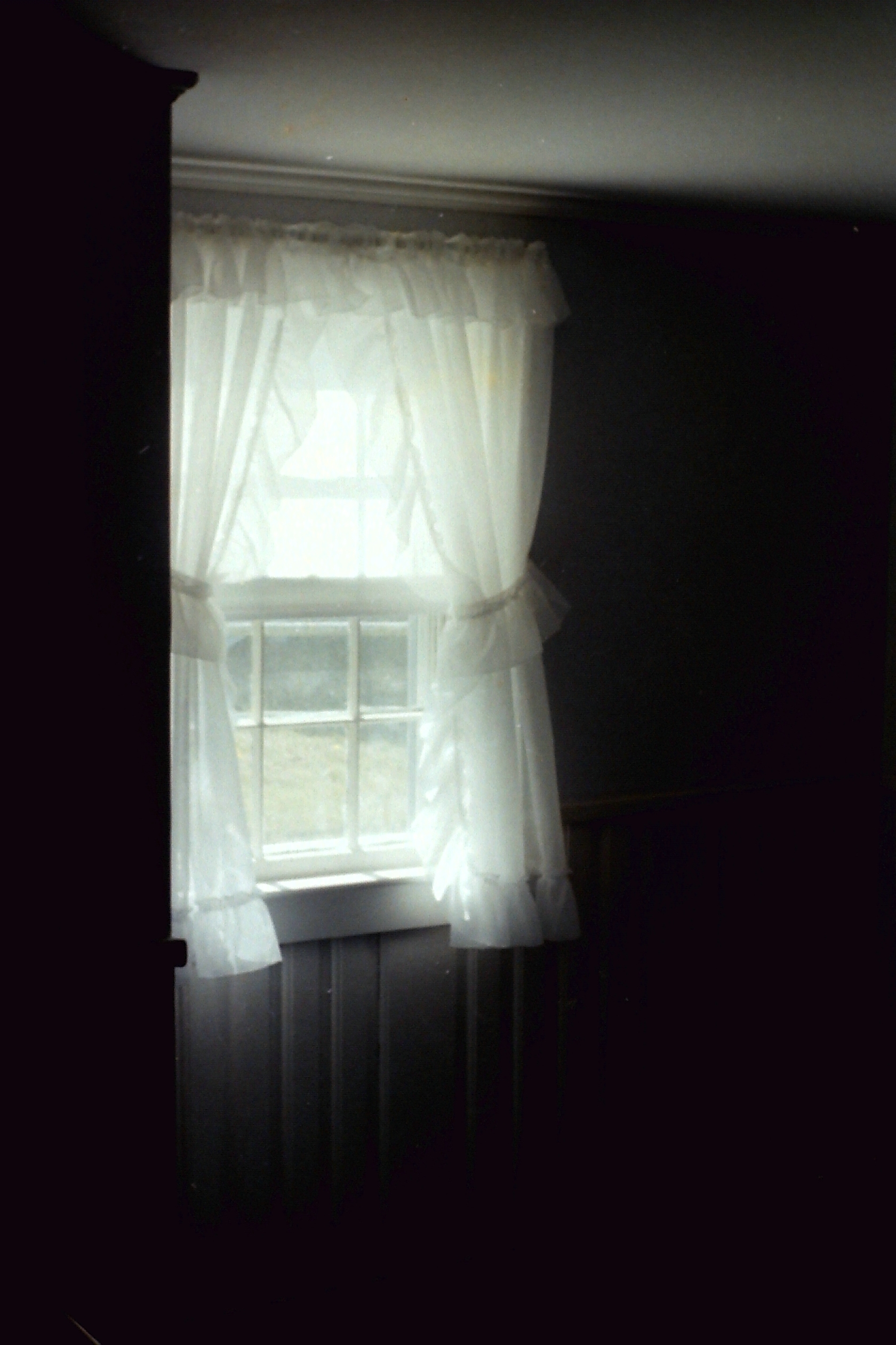 PICT0003
