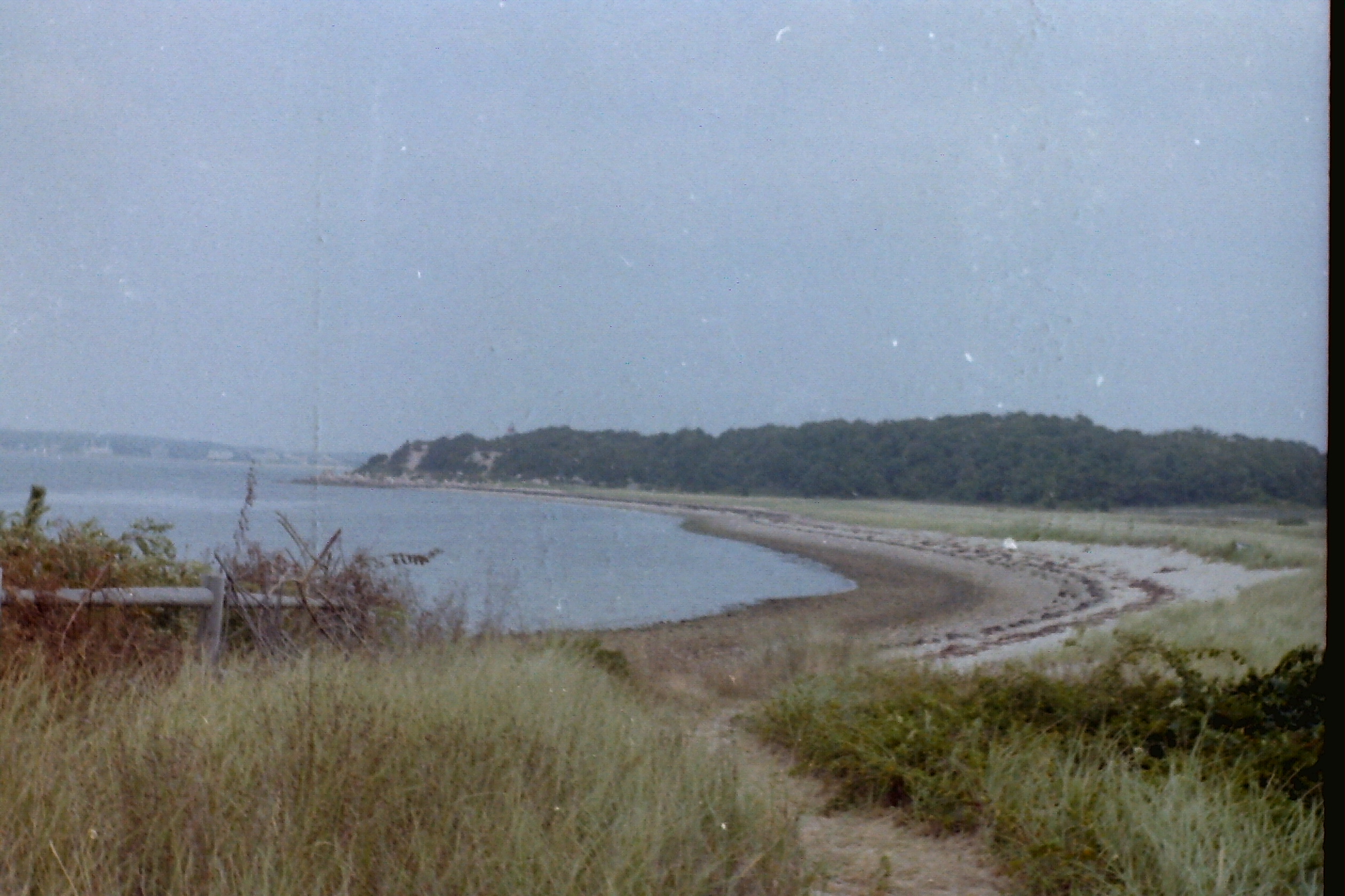 PICT0118r
