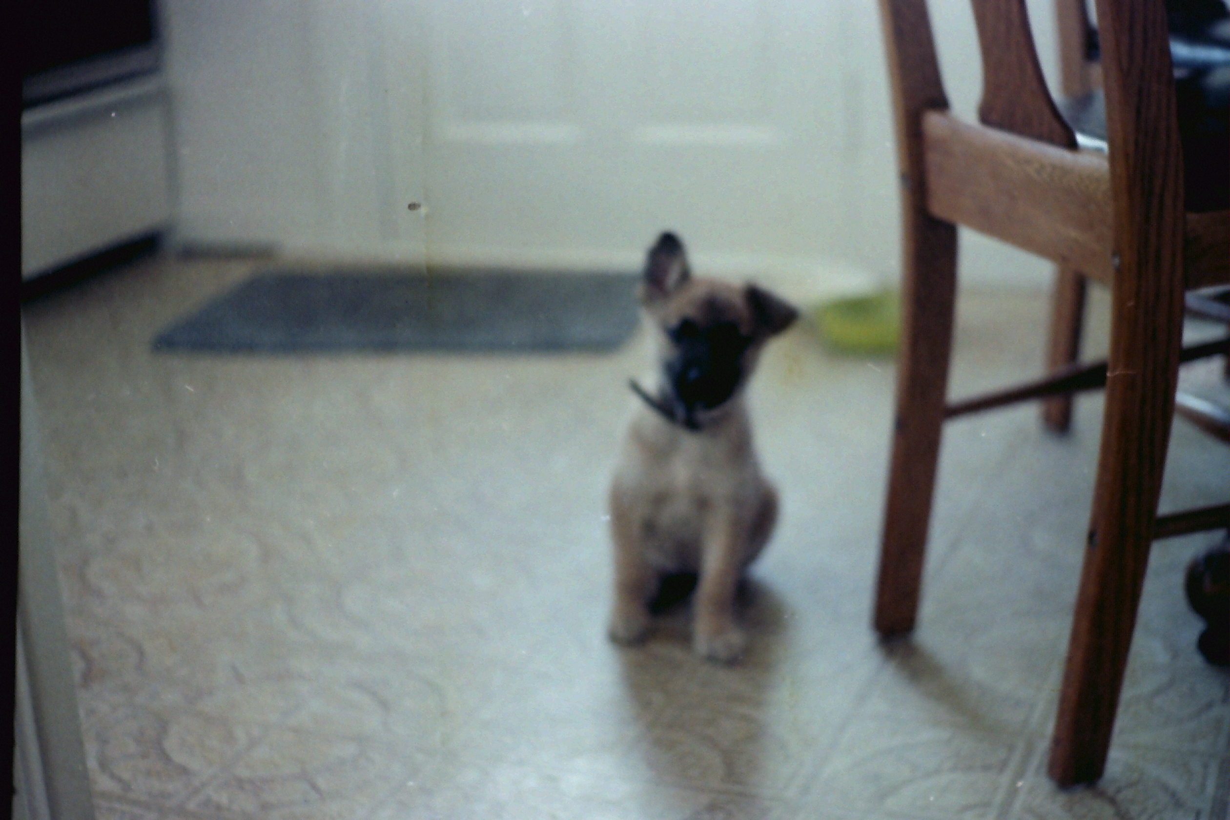 1986-Dont know date_P12 mybGotPippin Mar1987