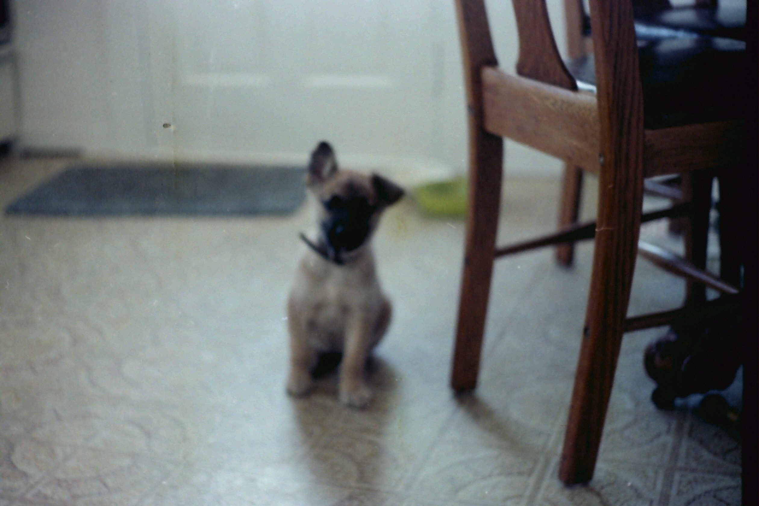 1986-Dont know date_P12r