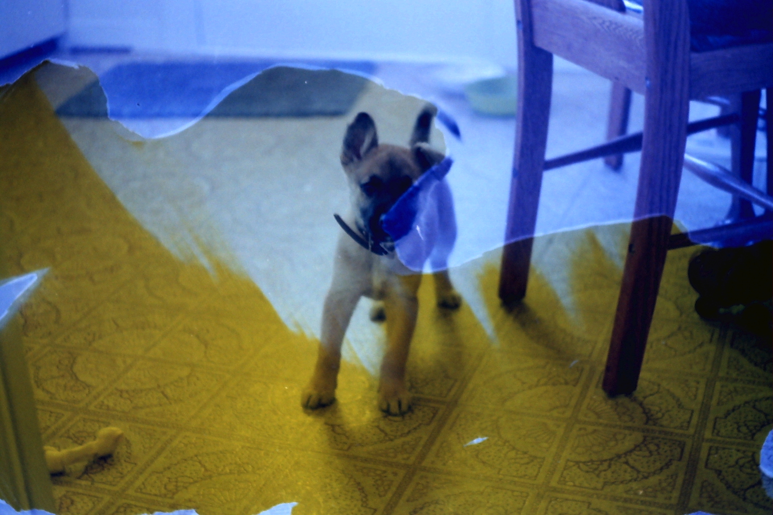 1986-Dont know date_P14