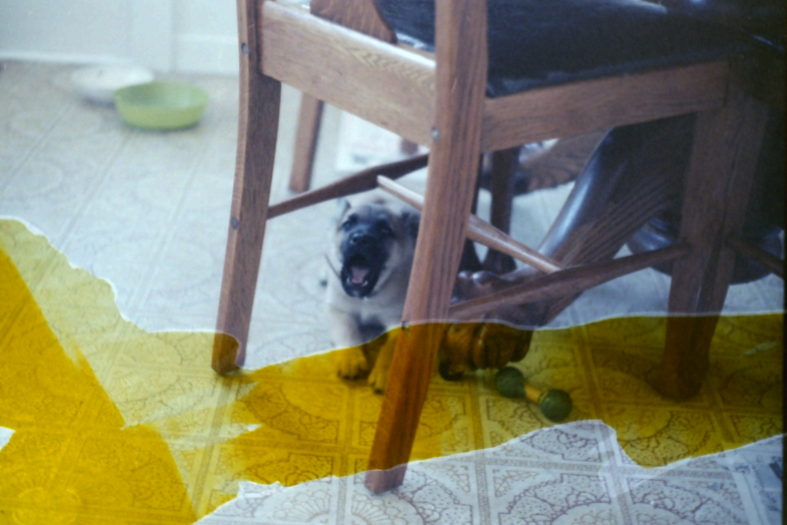 1986-Dont know date_P15