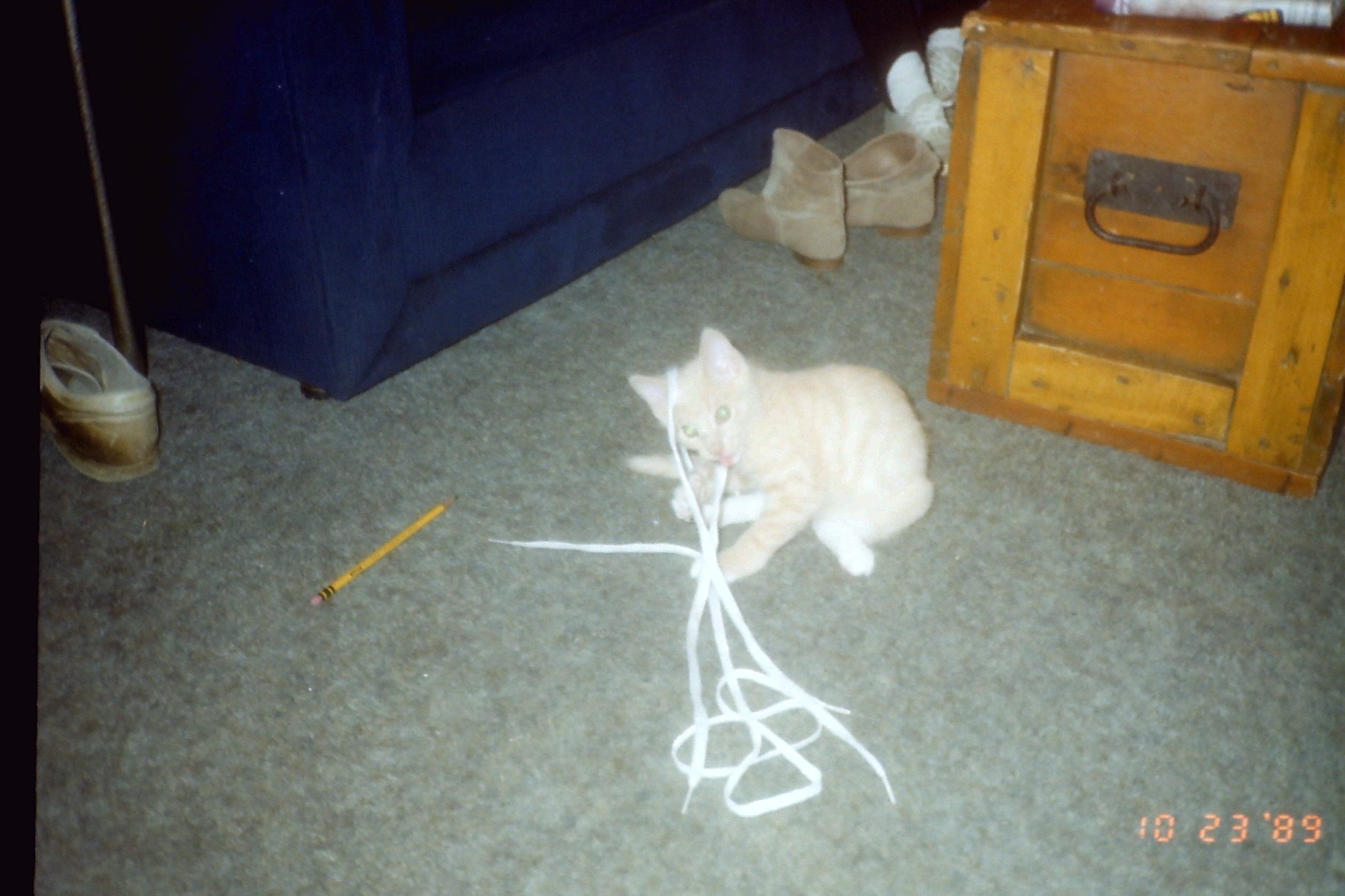 1989-10_P03