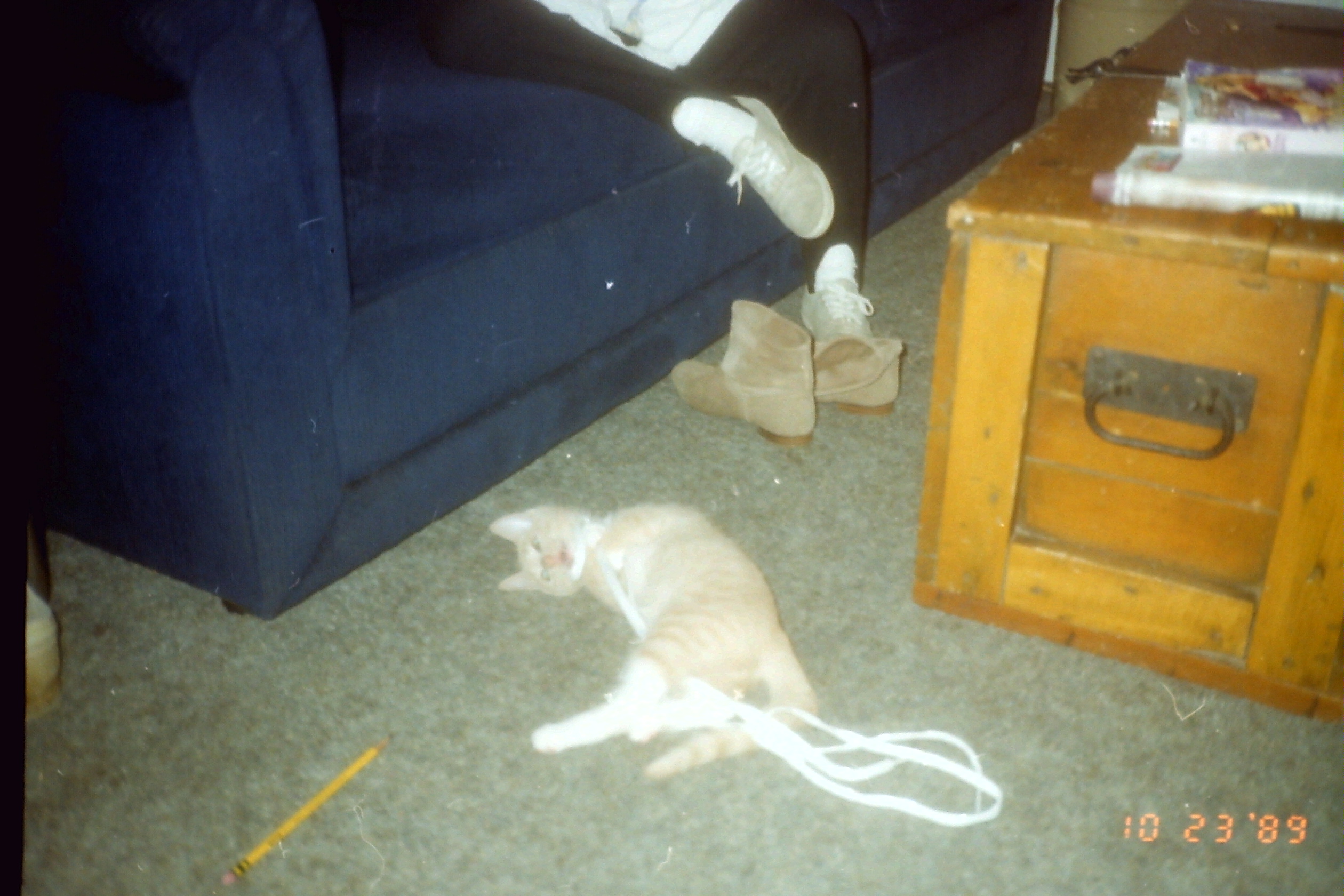 1989-10_P07