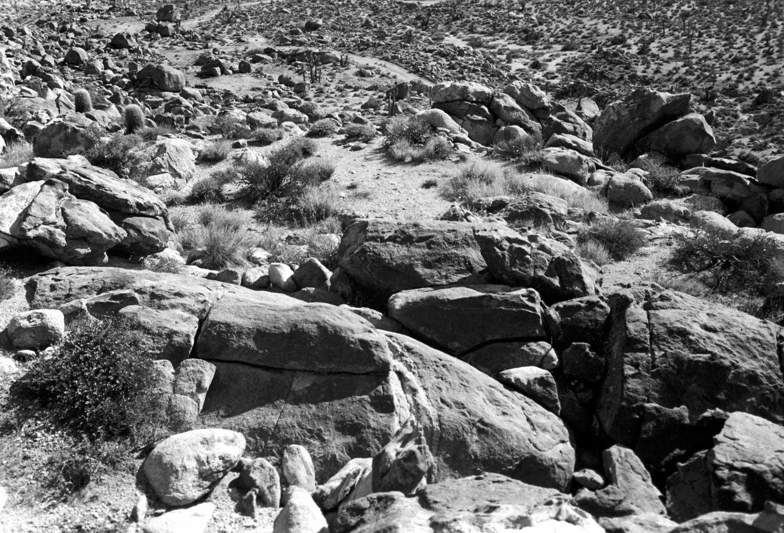 The over reaching architecture and beauty of boulders. Joshua Tree, CA ...