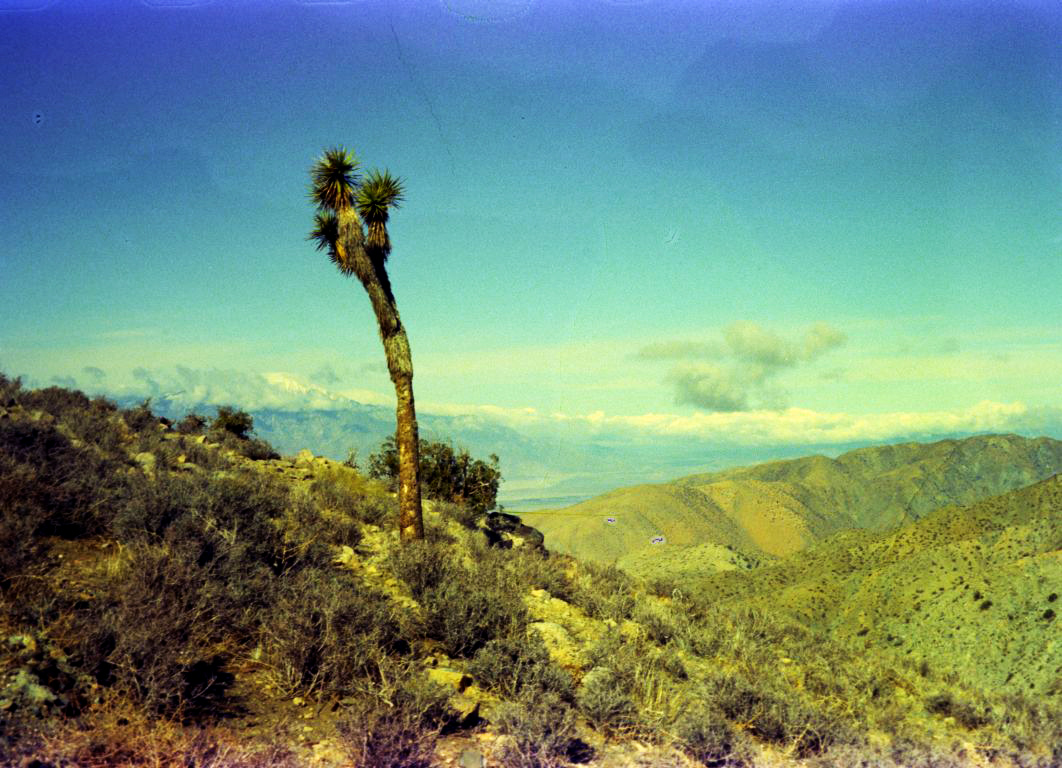 Keys view. Joshua Tree National Park