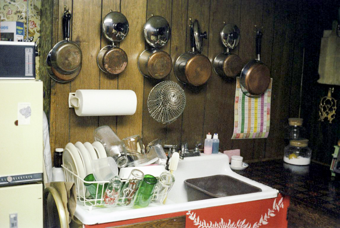 Deb Blakeman painted vines on the kitchen cabinets. Monmouth Junction, NJ. Maybe August, 1978