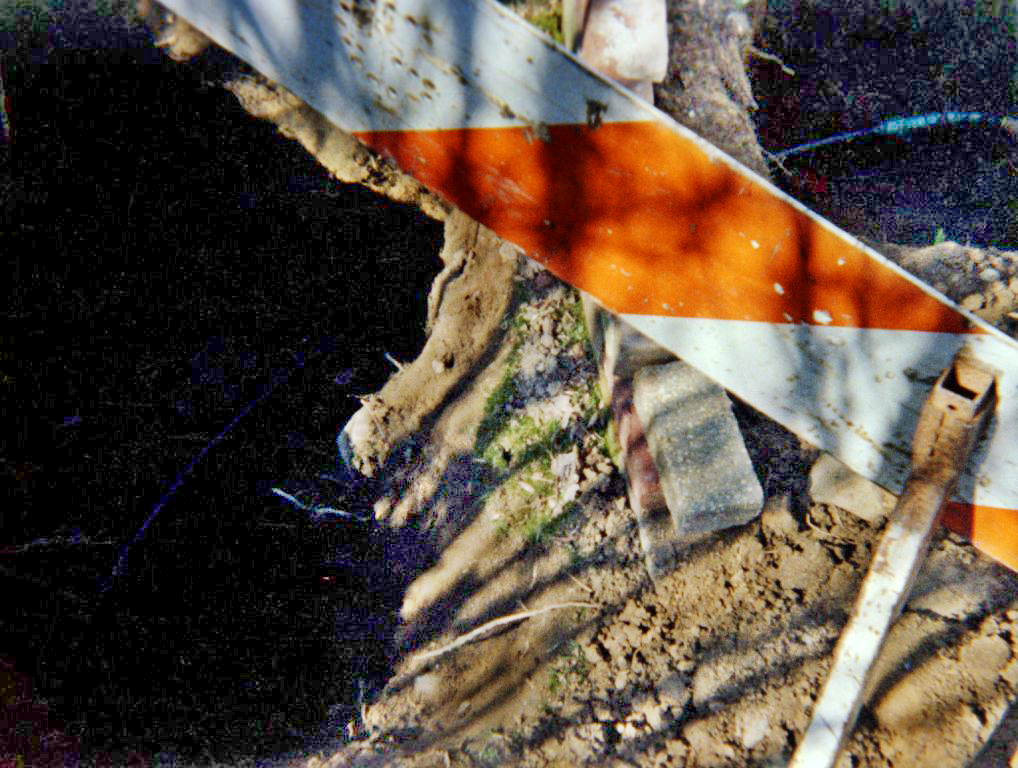 South Brunswick is bringing in a sewer line. 1 Richard Rd, Monmouth