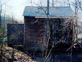 In back of our cottage before adding a second driveway. Monmouth Junction, NJ. May, 1979